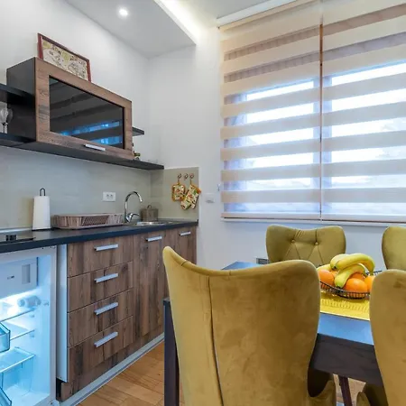 公寓 Blue-angel-lux 兹拉蒂博尔